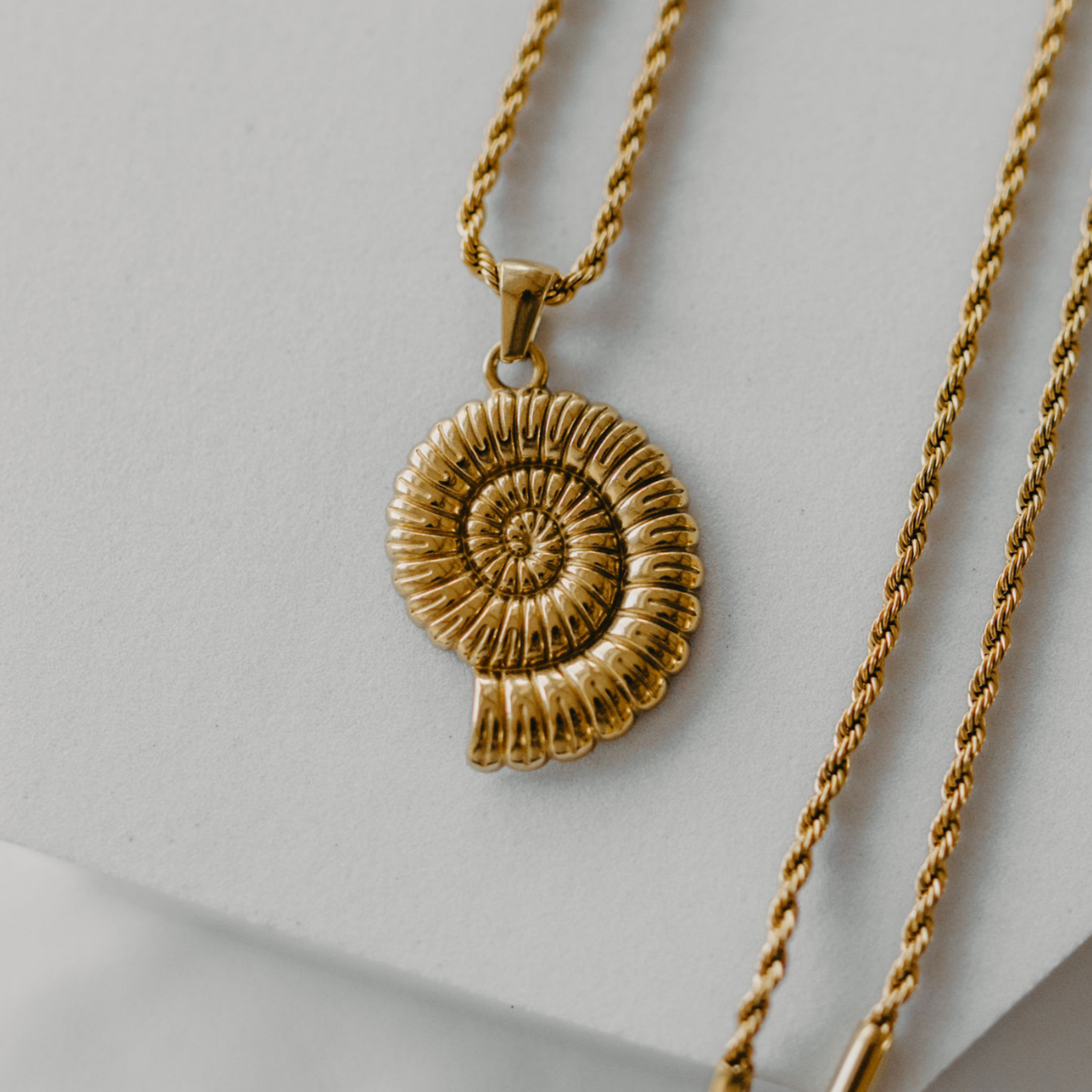 Seashell Necklace