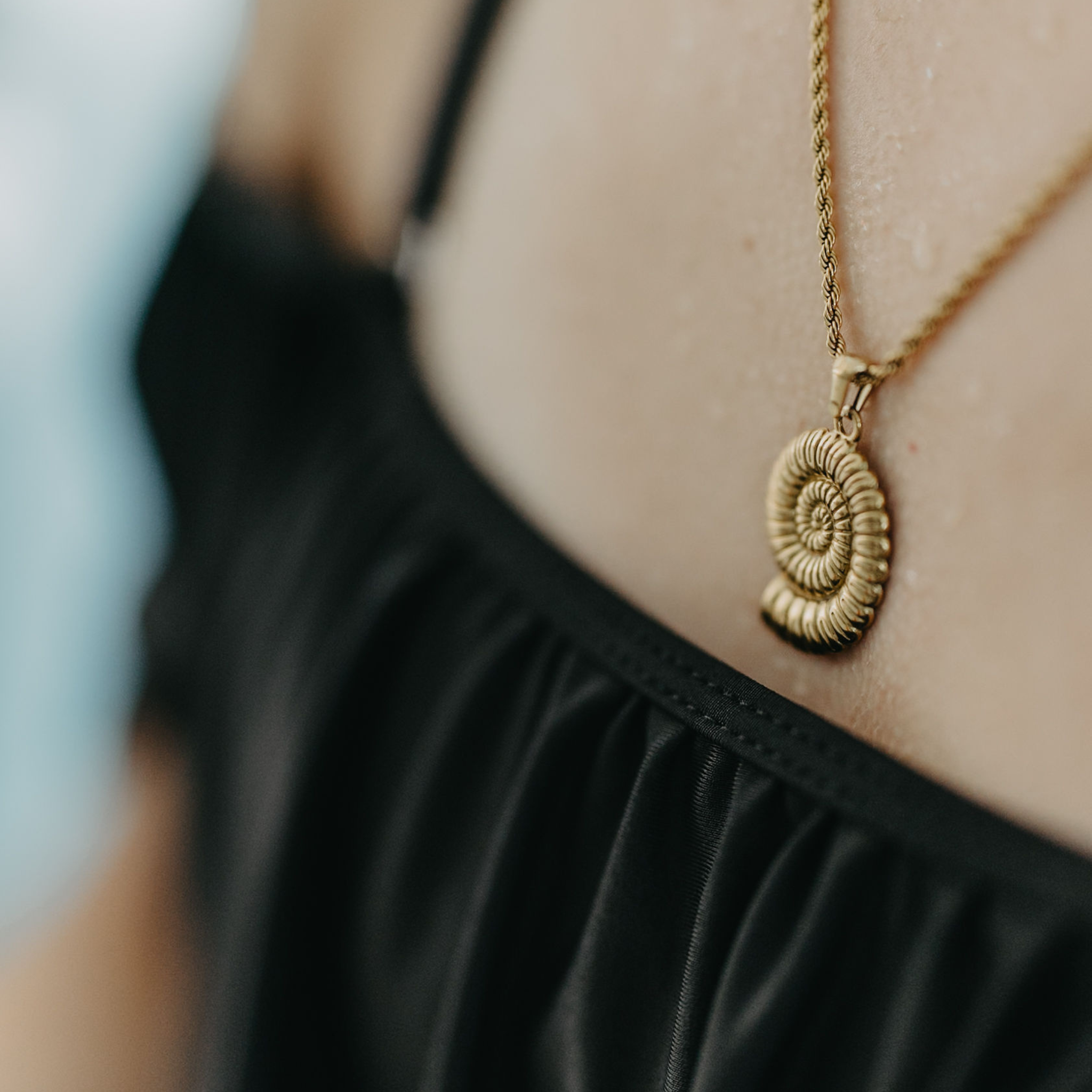 Seashell Necklace