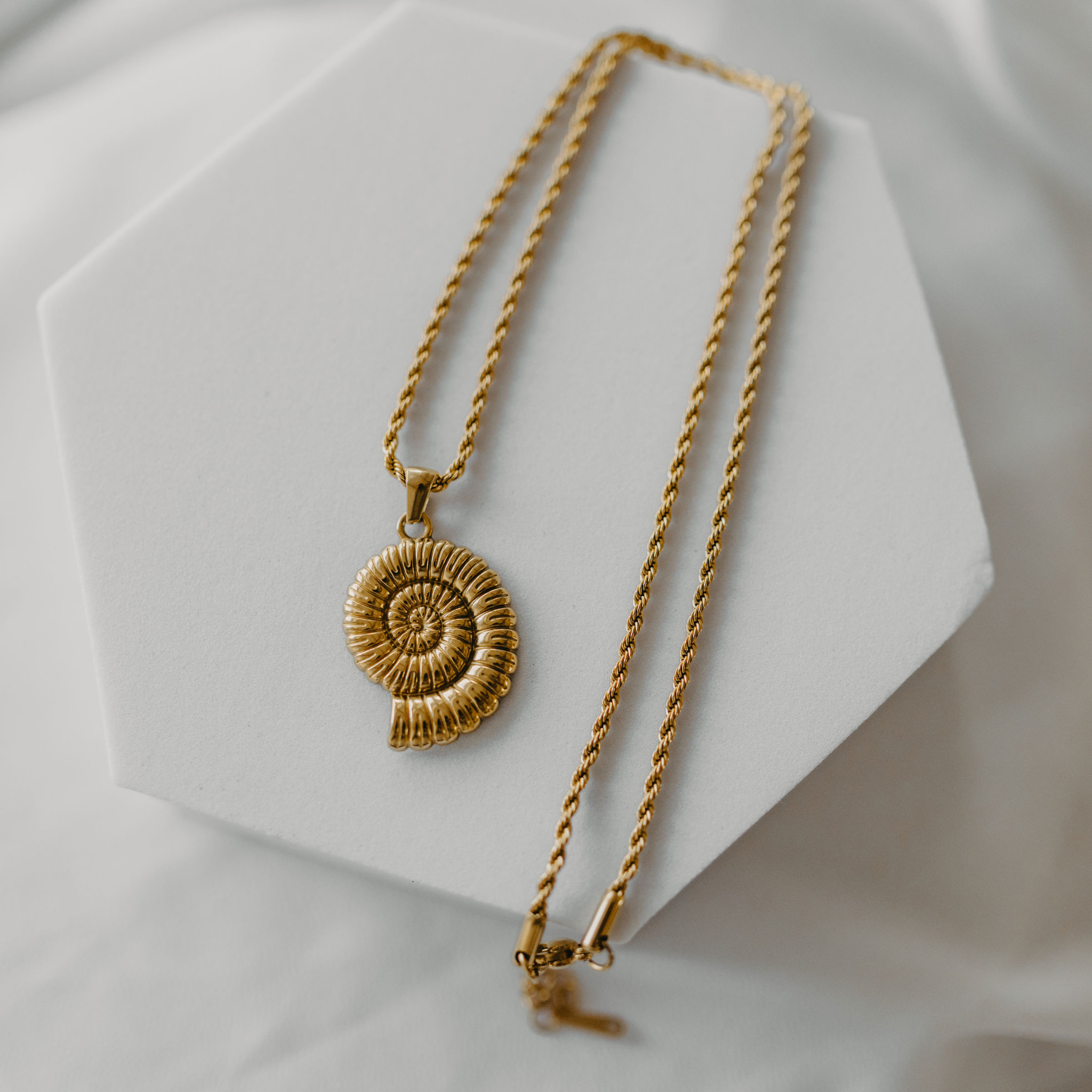 Seashell Necklace