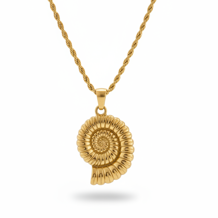 Seashell Necklace